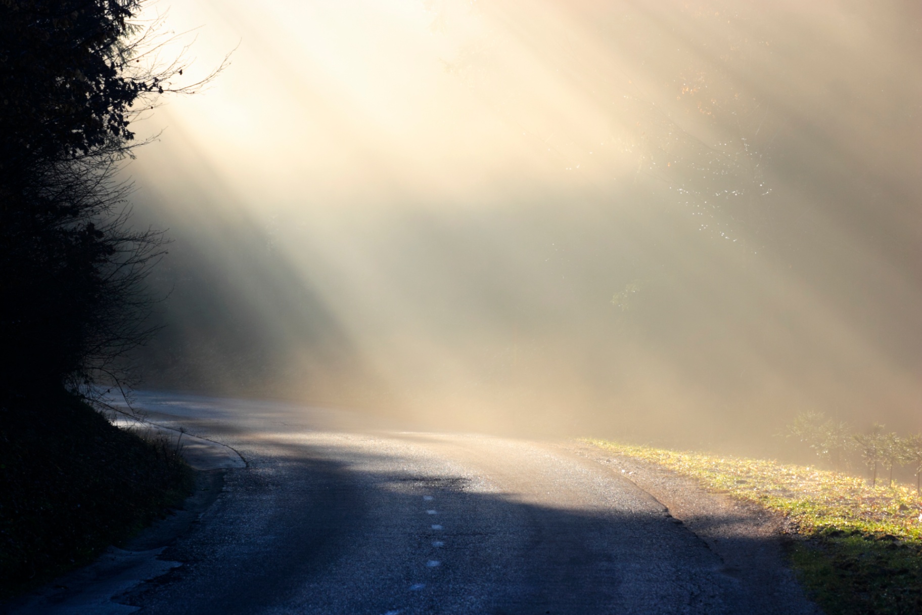 rays of light